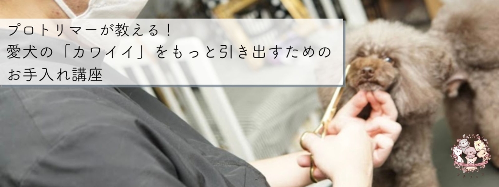 プロトリマーが教える！愛犬の「カワイイ」をもっと引き出すためのお手入れ講座